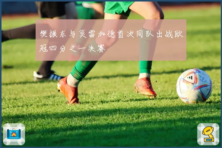 樊振东与莫雷加德首次同队出战欧冠四分之一决赛