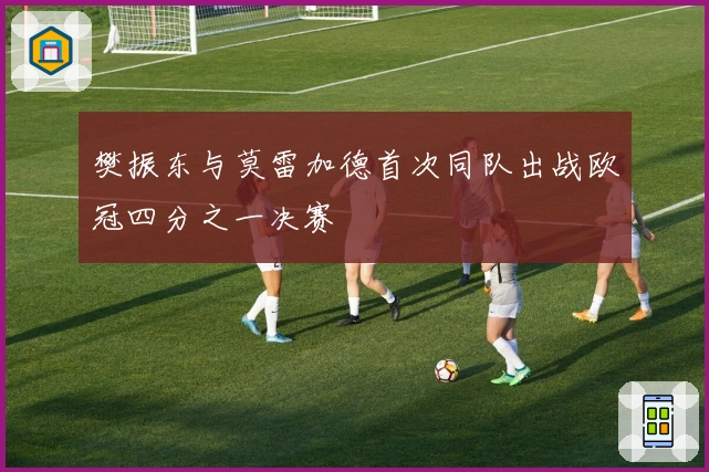 樊振东与莫雷加德首次同队出战欧冠四分之一决赛